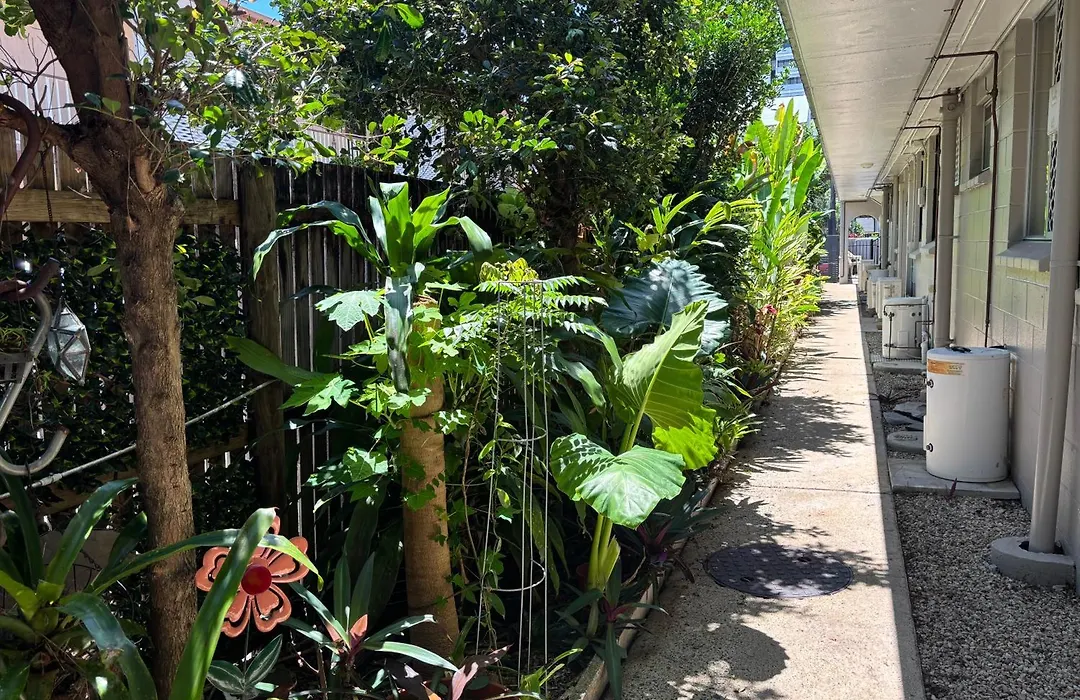 Tropical Ground-Floor Retreat Cairns-1